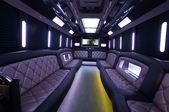 20 passenger party bus